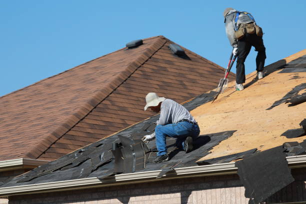 Best Gutter Installation and Repair  in Newport, OH